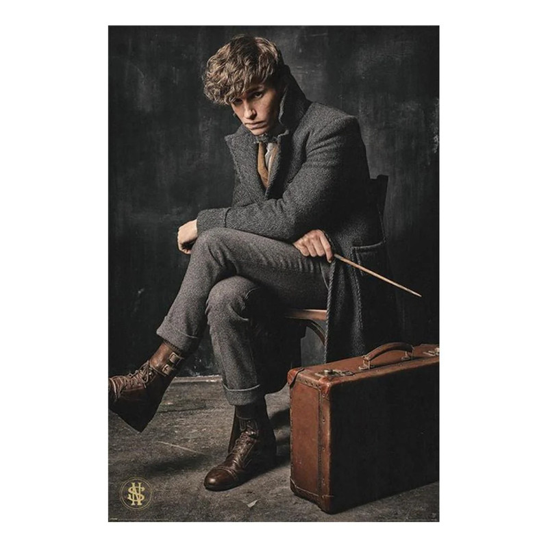 Fantastic Beasts The Crimes Of Grindelwald-newt Scamander Poster - أكسسوار